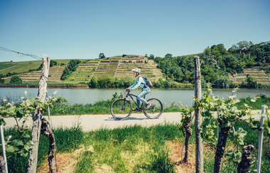 Unterwegs am Neckartal-Radweg zwischen Weinreben und Flusslandschaft | © Touristikgemeinschaft HilbronnerLand e.V.