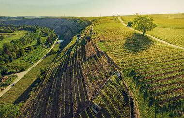 Katzenbeißer-Steillagen bei Lauffen | © Touristikgemeinschaft HeilbronnerLand e.V.