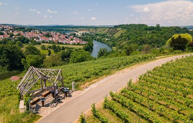 Neckartal-Radweg Marbach Weinberge | © Maximilian Semsch_Geschäftsstelle Neckartal-Radweg