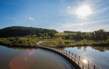 Zugwiesen Ludwigsburg | © Tourismus und Events Ludwigsburg
