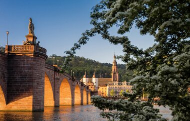 Alte Bruecke Heidelberg | © Tobias Schwerdt