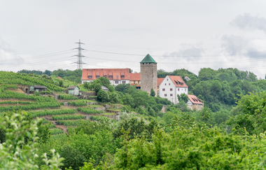 DSGVO NT Neckarwestheim Schloss Liebenstein 2 WEB | © artofpoggel.de Kristof Poggel