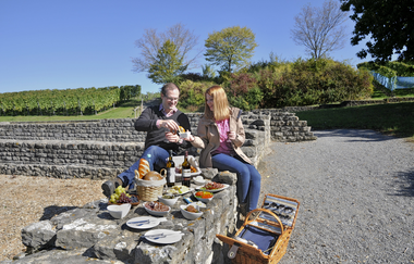 Römischer Gutshof - Rastplatz am Neckar | Lauffen am Neckar | HeilbronnerLand | © Touristikgemeinschaft HeilbronnerLand e.V.