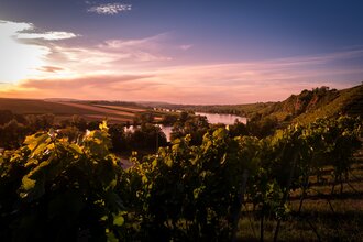 Katzenbeißer-Steillagen mit Krappenfelsen | Lauffen am Neckar | HeilbronnerLand | © Touristikgemeinschaft HeilbronnerLand