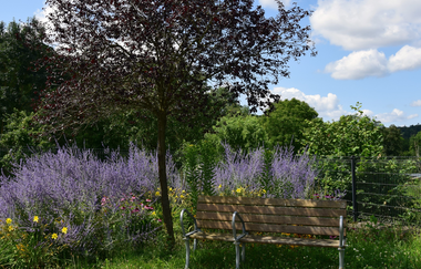 Neudenauer Acht | Neudenau | HeilbronnerLand | © Stadtverwaltung Neudenau