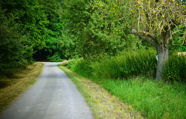 Neudenauer Acht | Neudenau | HeilbronnerLand | © Stadtverwaltung Neudenau