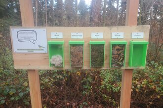 Nistkastenlehrpfad am Naturparkzentrum- Entdeckertour durch die Welt der Waldvögel und Höhlenbrüter