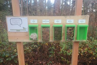 Nistkastenlehrpfad am Naturparkzentrum- Entdeckertour durch die Welt der Waldvögel und Höhlenbrüter