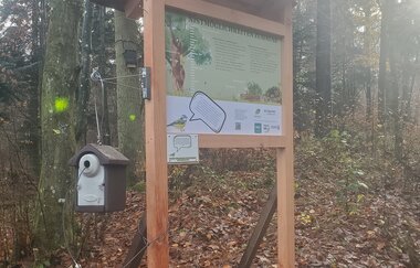 Nistkastenlehrpfad am Naturparkzentrum- Entdeckertour durch die Welt der Waldvögel und Höhlenbrüter