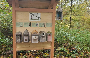 Nistkastenlehrpfad am Naturparkzentrum- Entdeckertour durch die Welt der Waldvögel und Höhlenbrüter