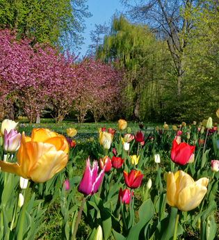 Nordic Walking - Tour 2 | © Holger Schmitt