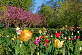 Nordic Walking - Tour 2 | © Holger Schmitt