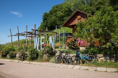 Brackenheim Radfahren Wein web | HeilbronnerLand | © Stadt Brackenheim
