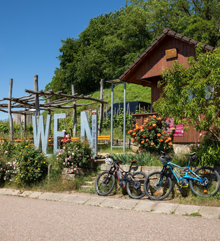 Brackenheim Radfahren Wein web | HeilbronnerLand | © Stadt Brackenheim
