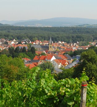 Ö2 - Rundwanderweg Östringen | © Land der 1000 Hügel - Kraichgau-Stromberg