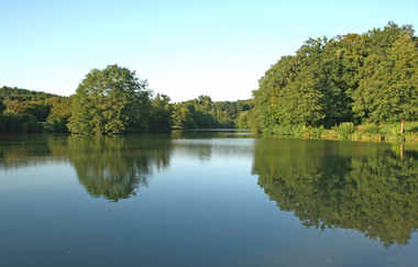 Ö3 - Östringer Wald & Hügel Rundwanderweg | © Land der 1000 Hügel - Kraichgau-Stromberg