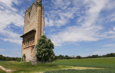 Anhäuser Mauer | © Hohenlohe + Schwäbisch Hall Tourismus e. V.