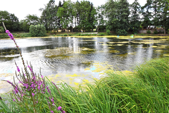 ÖD1 - Weinberg-Seen-Tour (große Rundtour) | © Frank Finsterle