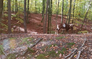 OD2 - Derdinger Horn Tour | © Land der 1000 Hügel - Kraichgau-Stromberg