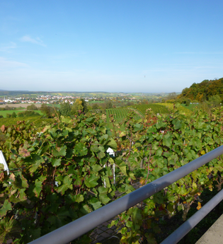 OD2 - Derdinger Horn Tour | © Gemeinde Oberderdingen