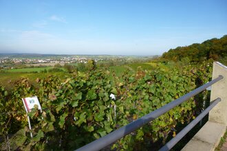 OD2 - Derdinger Horn Tour | © Gemeinde Oberderdingen