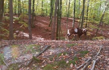 OD2 - Derdinger Horn Tour | © Land der 1000 Hügel - Kraichgau-Stromberg
