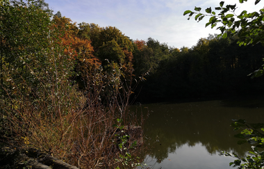 OD2 - Derdinger Horn Tour | © Land der 1000 Hügel - Kraichgau-Stromberg