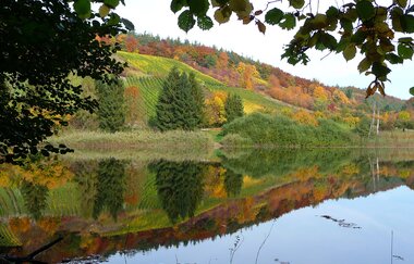 OD3 - Bernhardsweiher Tour