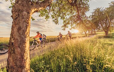 Radlergruppe bei Waldbrunn | © Touristikgemeinschaft Odenwald e.V.