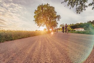 Radfahrer radeln auf einem asphaltierten Radweg bei Sonnenuntergang am Katzenbuckel, der höchsten Erhebung im Odenwald. Im Hintergrund ist ein Gebäude zu sehen.
