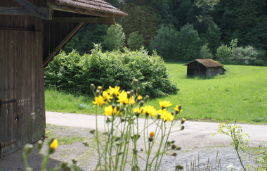 Ohrntalradweg zwischen Öhringen und Kochertal | © Touristikgemeinschaft Hohenlohe e. V. | Stadt Öhringen