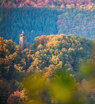 Ohrsbergrundweg | © Stadt Eberbach / Andreas Held