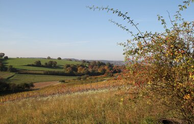 ÖkoRegio Tour Streuobst und Fernblick NaBu Kraichtal-Bahnbrücken (Kurzroute) | © Stadtmarketing Kraichtal