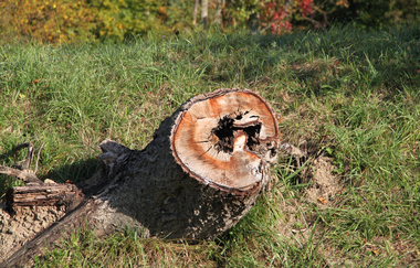 ÖkoRegio Tour Streuobst und Fernblick NaBu Kraichtal-Bahnbrücken (Kurzroute) | © Stadtmarketing Kraichtal