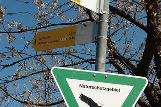 ÖkoRegio Tour Streuobst und Fernblicke NaBu Kraichtal-Bahnbrücken, -Landshausen, -Menzingen (Langroute) | © Land der 1000 Hügel - Kraichgau-Stromberg