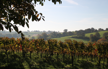 ÖkoRegio Tour Streuobst und Fernblicke NaBu Kraichtal-Bahnbrücken, -Landshausen, -Menzingen (Langroute)