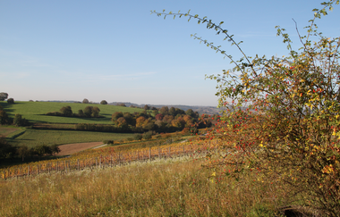 ÖkoRegio Tour Streuobst und Fernblicke NaBu Kraichtal-Bahnbrücken, -Landshausen, -Menzingen (Langroute) | © Stadtmarketing Kraichtal