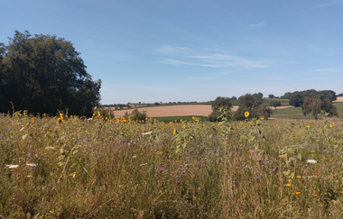 ÖkoRegio Tour Streuobst und Fernblicke NaBu Kraichtal-Bahnbrücken, -Landshausen, -Menzingen (Langroute) | © Land der 1000 Hügel - Kraichgau-Stromberg