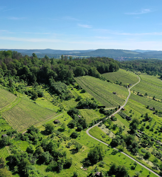 ÖT3 - Ötisheimer Saubergtour | © Land der 1000 Hügel - Kraichgau-Stromberg