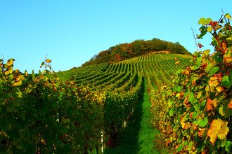 Panorama-Rundwanderweg | © Wandermagazin