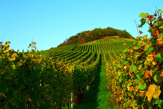 Panorama-Rundwanderweg | © Wandermagazin