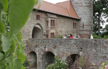 Panorama-Wanderweg – durch Weinberg und hügelige Weiten | © Tourist-Information Külsheim