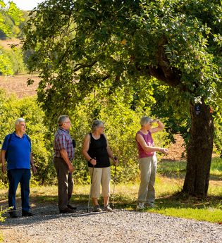 Panoramaweg - 1. Etappe | © Liebliches Taubertal