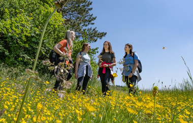 Panoramaweg - 1. Etappe | © Liebliches Taubertal