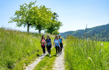 Panoramaweg - 1. Etappe | © Liebliches Taubertal