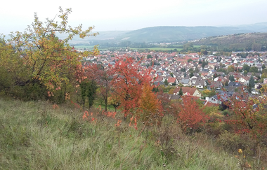 Panoramaweg - 3. Etappe | © Tourismusverband "Liebliches Taubertal" e.V.