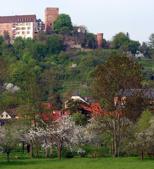 Panoramaweg - 4. Etappe | © Liebliches Taubertal
