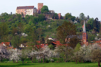 Panoramaweg - 4. Etappe | © Liebliches Taubertal