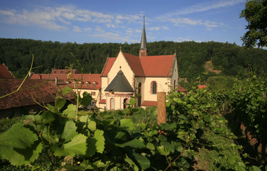 Panoramaweg - 4. Etappe | © Liebliches Taubertal