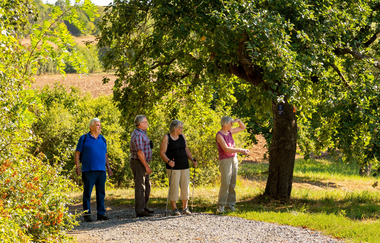 Panoramaweg 2. Etappe | © Liebliches Taubertal